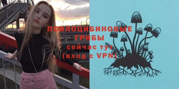 не бодяженный Арсеньев