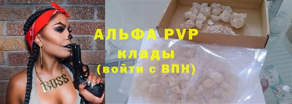 стафф Аркадак