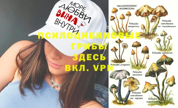 MESCALINE Армянск