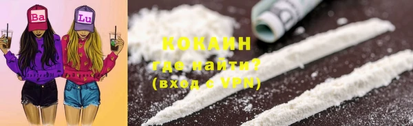 стафф Аркадак