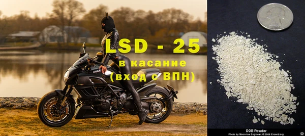 стафф Аркадак